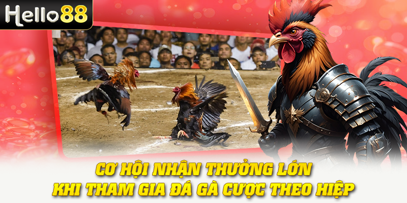 Đá Gà Cược Theo Hiệp - Hướng Dẫn Cách Chơi Thắng Lớn 4 Cơ hội nhận thưởng lớn khi tham gia đá gà cược theo hiệp