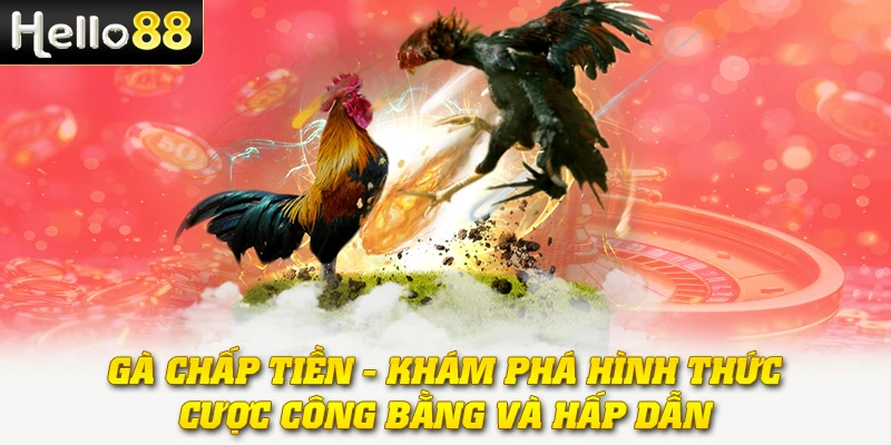Gà Chấp Tiền - Khám Phá Hình Thức Cược Công Bằng Và Hấp Dẫn 1 Gà Chấp Tiền - Khám Phá Hình Thức Cược Công Bằng Và Hấp Dẫn