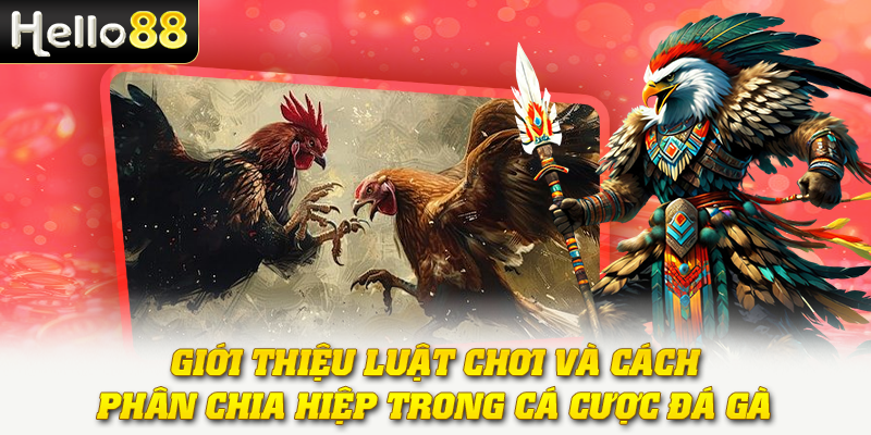 Đá Gà Cược Theo Hiệp - Hướng Dẫn Cách Chơi Thắng Lớn 2 Giới thiệu luật chơi và cách phân chia hiệp trong cá cược đá gà