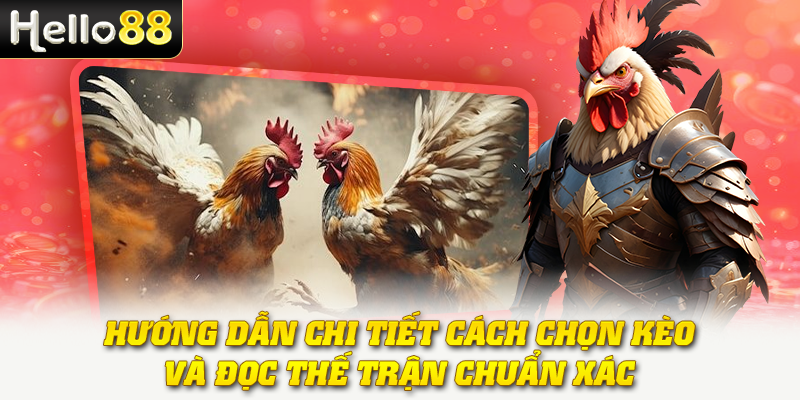 Đá Gà Cược Theo Hiệp - Hướng Dẫn Cách Chơi Thắng Lớn 3 Hướng dẫn chi tiết cách chọn kèo và đọc thế trận chuẩn xác